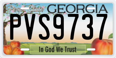 GA license plate PVS9737