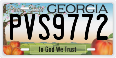 GA license plate PVS9772