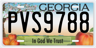 GA license plate PVS9788
