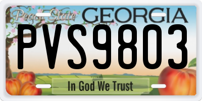 GA license plate PVS9803