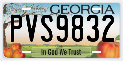 GA license plate PVS9832