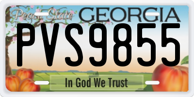GA license plate PVS9855