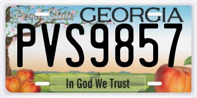 GA license plate PVS9857