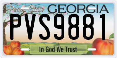 GA license plate PVS9881