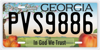 GA license plate PVS9886