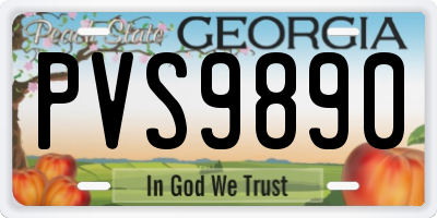 GA license plate PVS9890