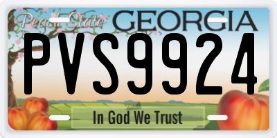 GA license plate PVS9924