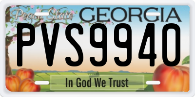 GA license plate PVS9940