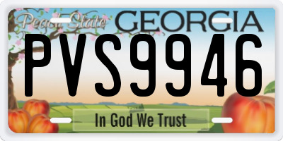 GA license plate PVS9946