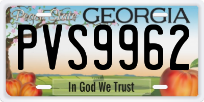 GA license plate PVS9962