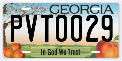 GA license plate PVT0029