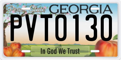 GA license plate PVT0130