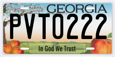 GA license plate PVT0222