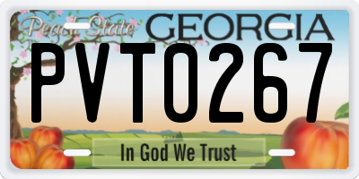 GA license plate PVT0267