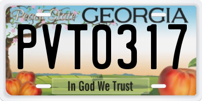 GA license plate PVT0317
