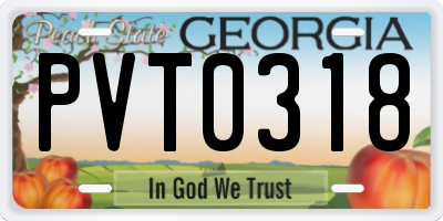 GA license plate PVT0318