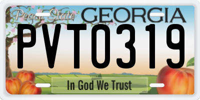 GA license plate PVT0319