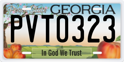 GA license plate PVT0323