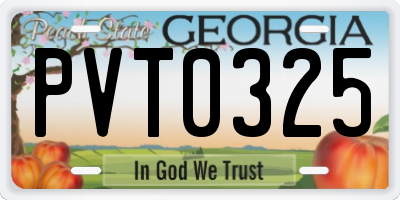 GA license plate PVT0325
