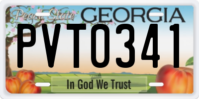 GA license plate PVT0341