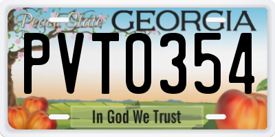 GA license plate PVT0354