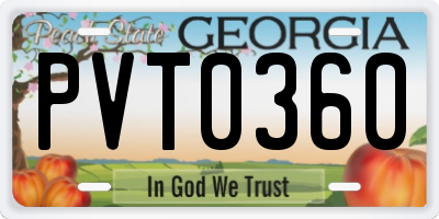 GA license plate PVT0360
