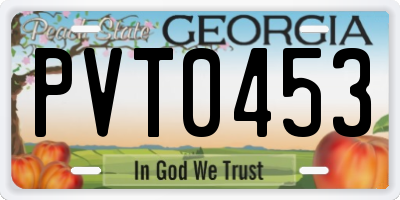 GA license plate PVT0453