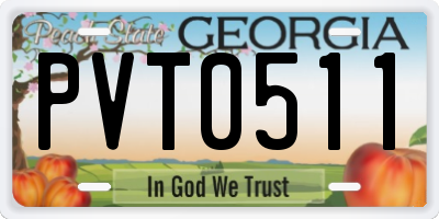 GA license plate PVT0511