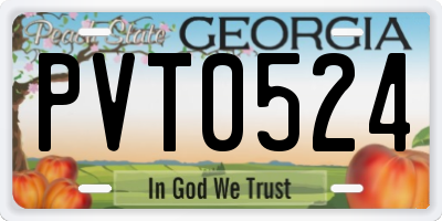 GA license plate PVT0524