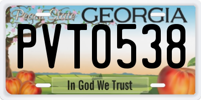 GA license plate PVT0538