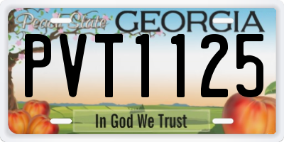 GA license plate PVT1125