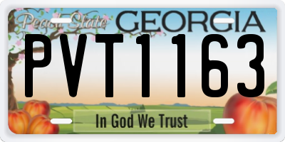 GA license plate PVT1163