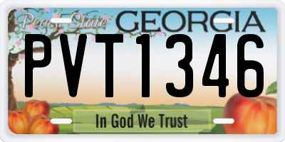 GA license plate PVT1346