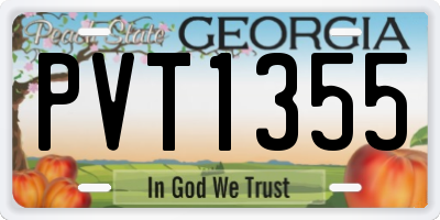 GA license plate PVT1355