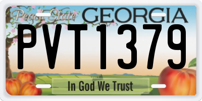GA license plate PVT1379