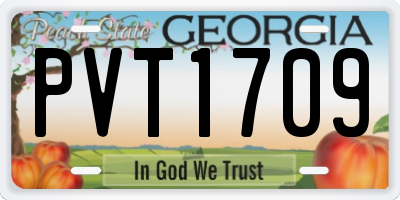 GA license plate PVT1709