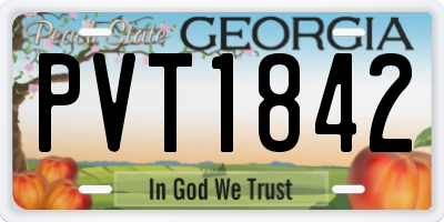 GA license plate PVT1842