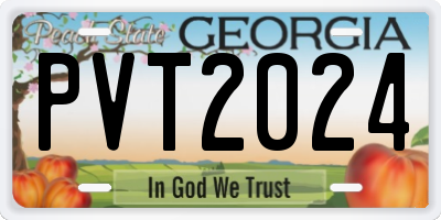GA license plate PVT2024