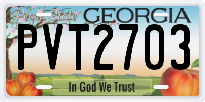 GA license plate PVT2703