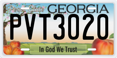 GA license plate PVT3020