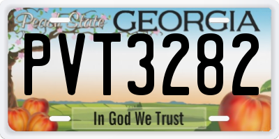 GA license plate PVT3282