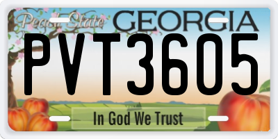 GA license plate PVT3605