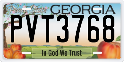 GA license plate PVT3768