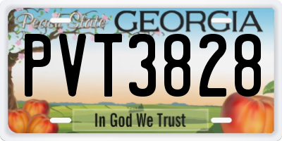 GA license plate PVT3828