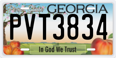 GA license plate PVT3834
