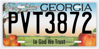 GA license plate PVT3872