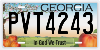 GA license plate PVT4243