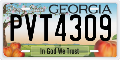 GA license plate PVT4309