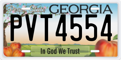 GA license plate PVT4554