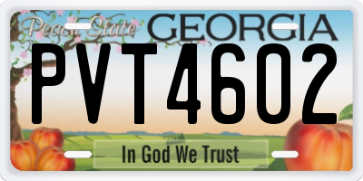 GA license plate PVT4602